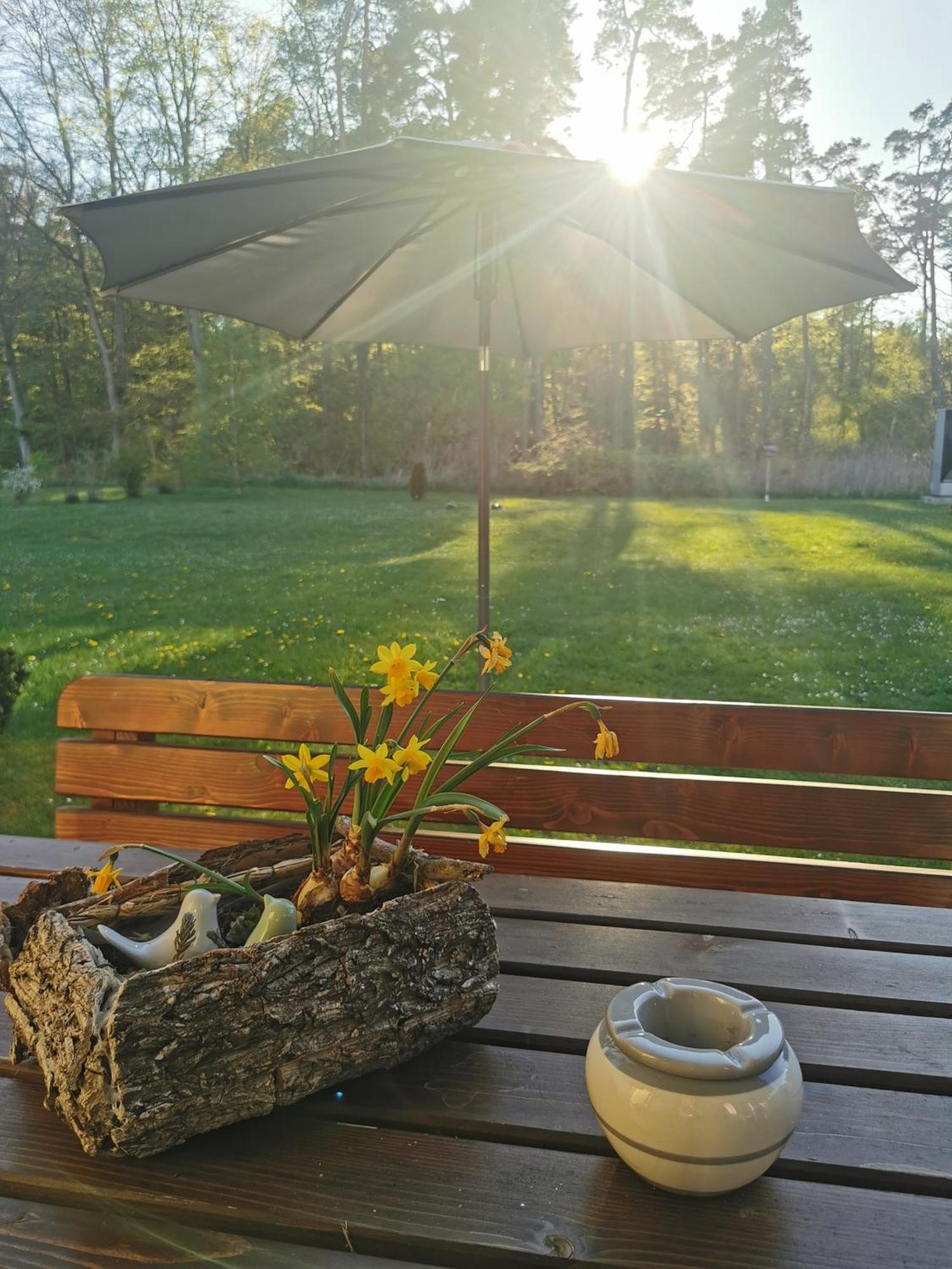 Fewo Ostseeparadies Waldblick Graal-Mueritz Extérieur photo